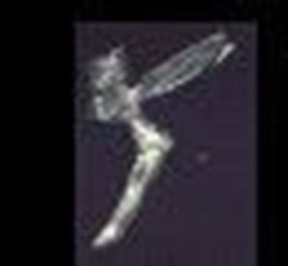 Picture of Dollhouse Metal Miniature Tinkerbell
