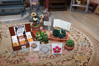 Picture of Miniature Plants and Seeds