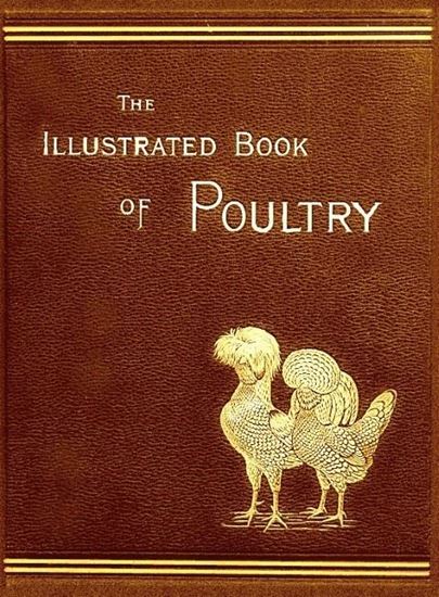 Picture of The illustrated book of poultry Digital Download