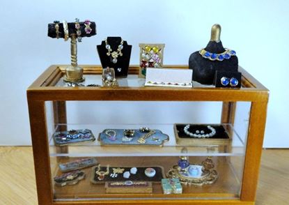 Picture of Jewelry Display Case with jewels.