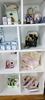 Picture of 19 lots of dollhouse miniature accessories.