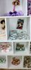 Picture of 19 lots of dollhouse miniature accessories.